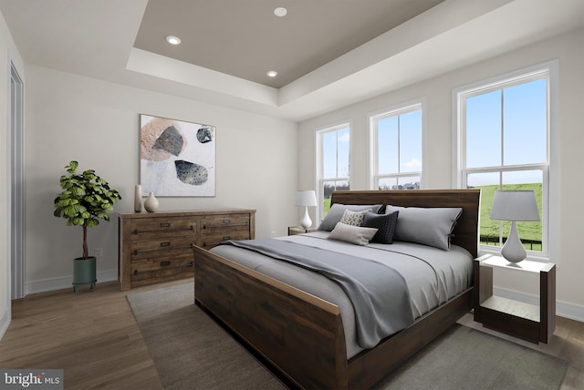 bedroom featuring multiple windows, dark hardwood / wood-style floors, and a raised ceiling