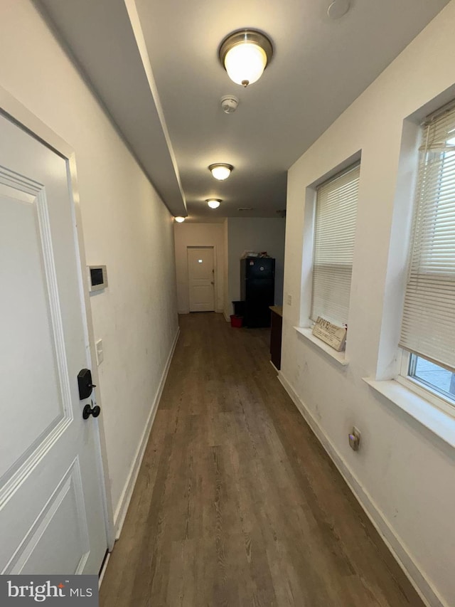 hallway featuring a healthy amount of sunlight and dark hardwood / wood-style flooring