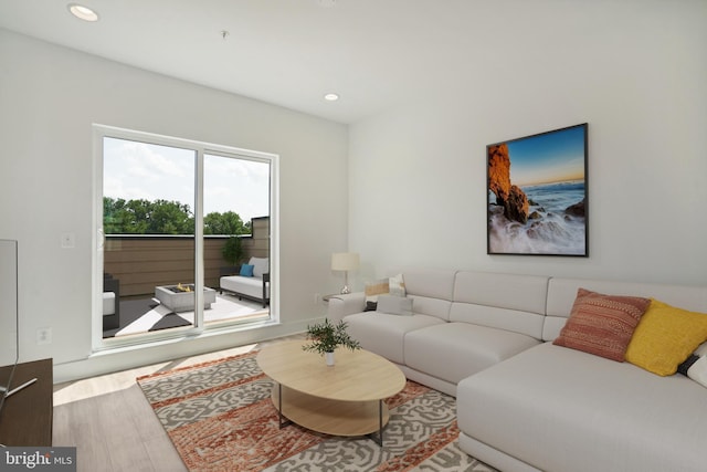 living room featuring hardwood / wood-style floors