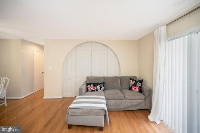 living room with light wood-type flooring