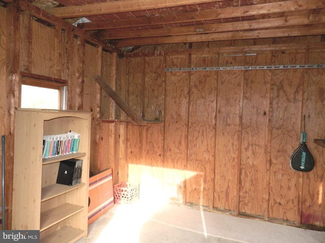 basement featuring wood walls