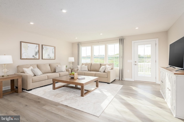 living room featuring light hardwood / wood-style flooring