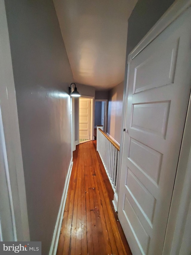 hall featuring dark wood-type flooring