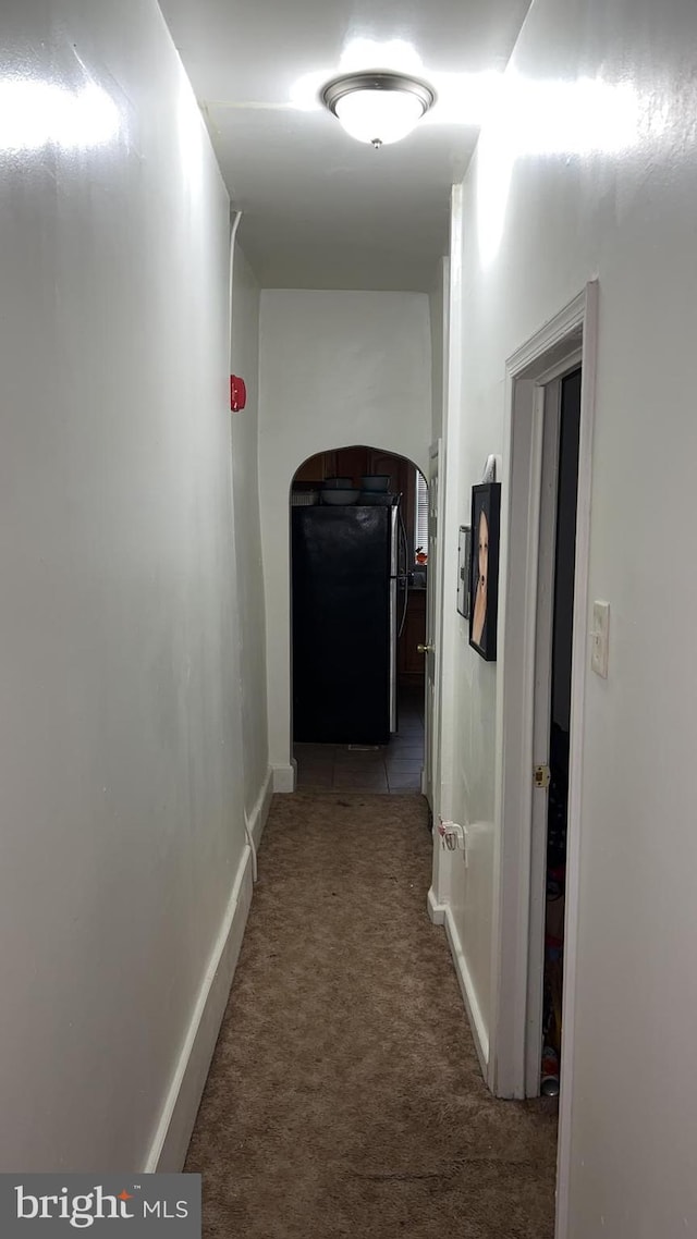 corridor with carpet flooring