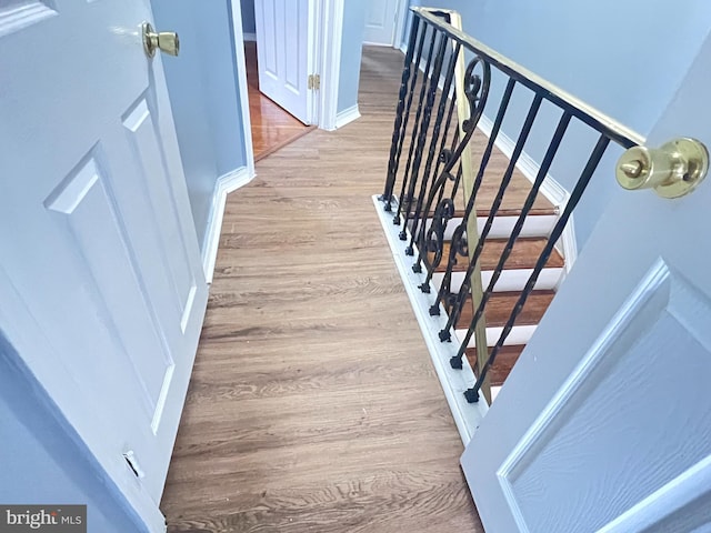 stairway featuring wood-type flooring