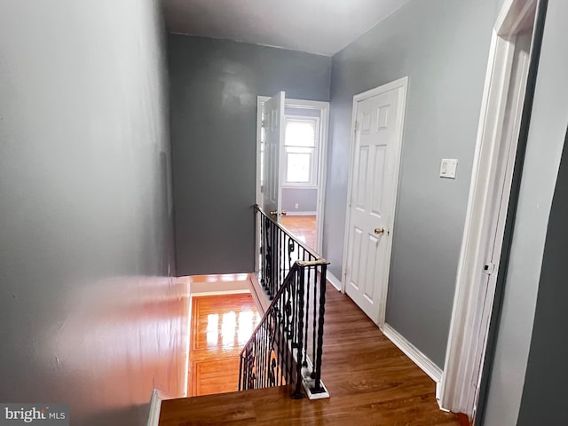 hall featuring dark hardwood / wood-style flooring