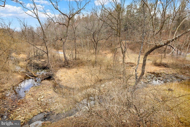 view of landscape with a forest view