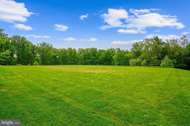 view of yard featuring a view of trees