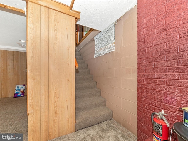 staircase with wooden walls and carpet