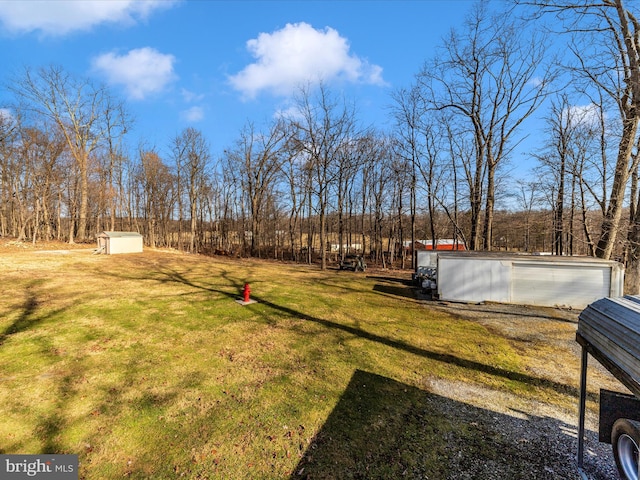 view of yard featuring a shed