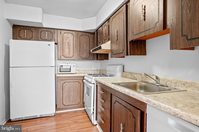 kitchen featuring sink, white appliances, and light hardwood / wood-style flooring