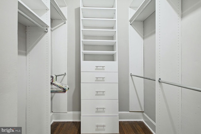 spacious closet with dark wood-type flooring