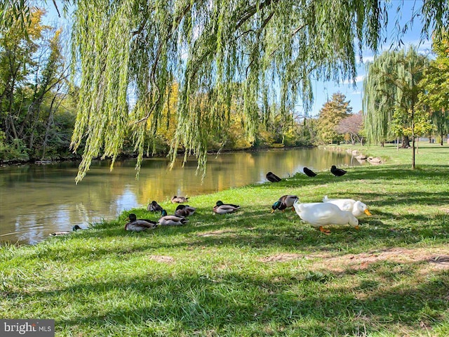 view of home's community with a lawn and a water view