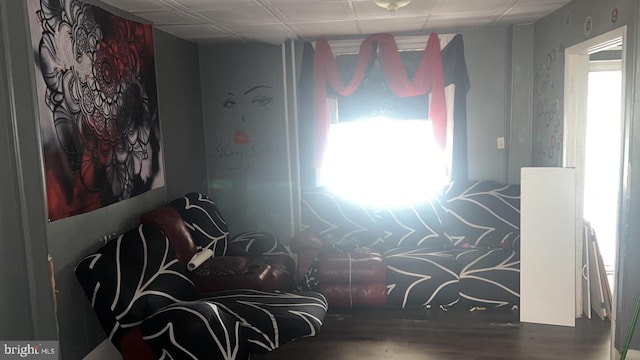 bedroom with wood-type flooring