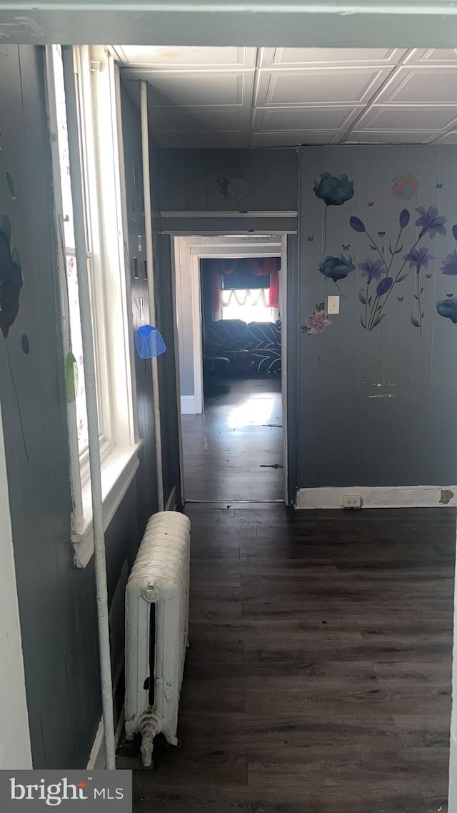 hallway featuring dark hardwood / wood-style flooring and radiator