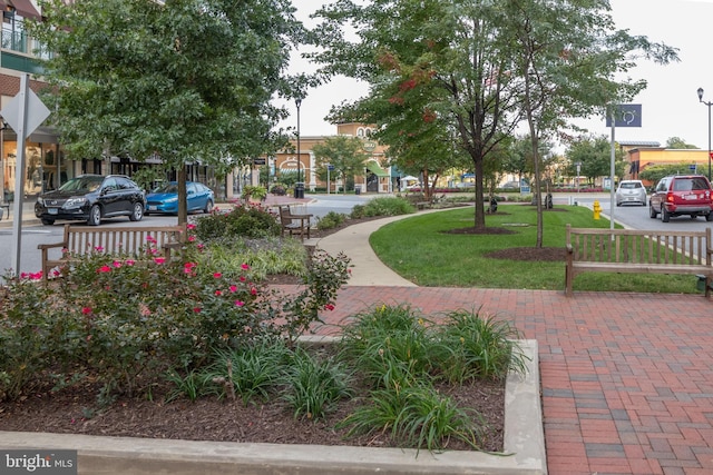 view of community with a lawn