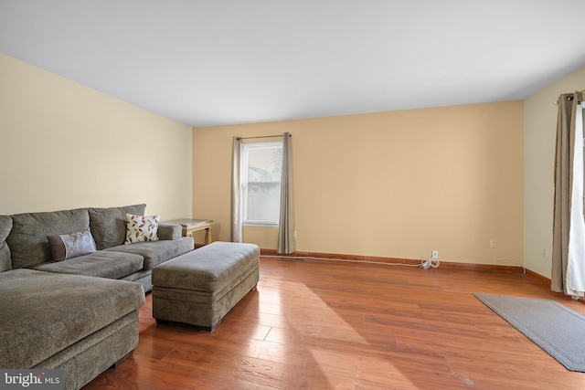 living room with hardwood / wood-style flooring