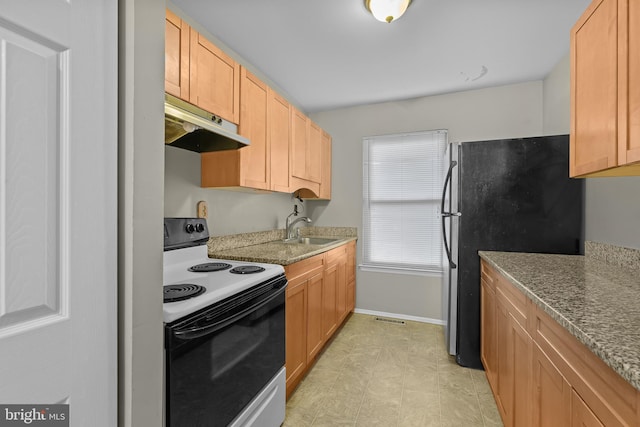 kitchen featuring electric stove, sink, fridge, and stone counters