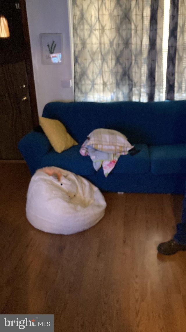 living room with wood-type flooring