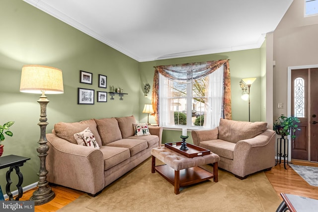 living room with crown molding and wood-type flooring