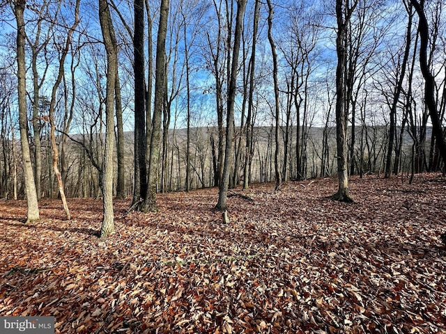 LOT15 Hickory Ct, Baker WV, 26801 land for sale