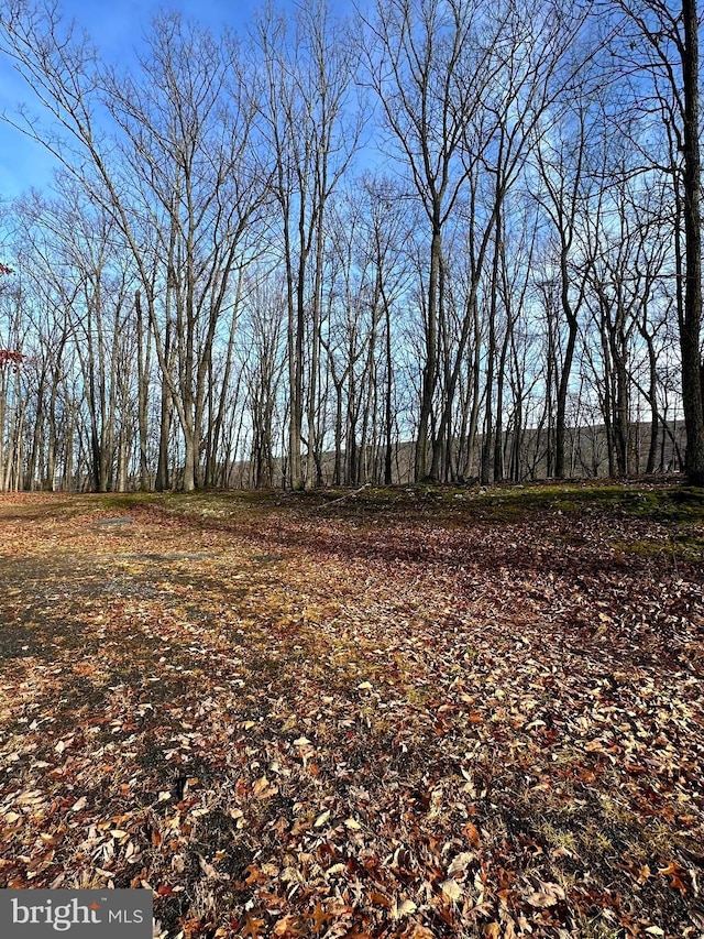 Listing photo 3 for LOT15 Hickory Ct, Baker WV 26801