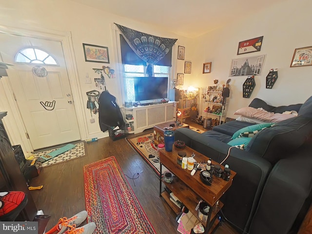 living room featuring dark hardwood / wood-style floors and a wealth of natural light