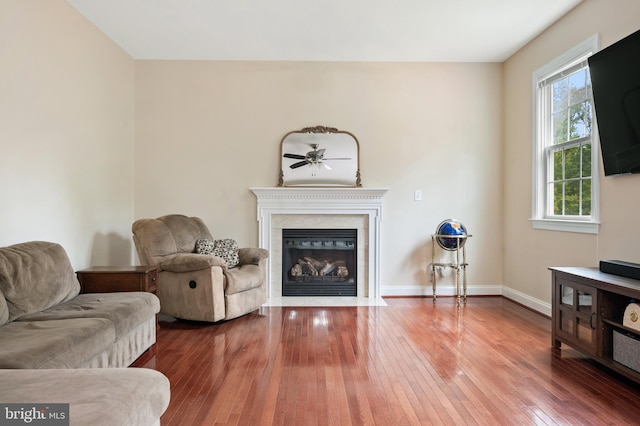 living room with a premium fireplace and wood-type flooring