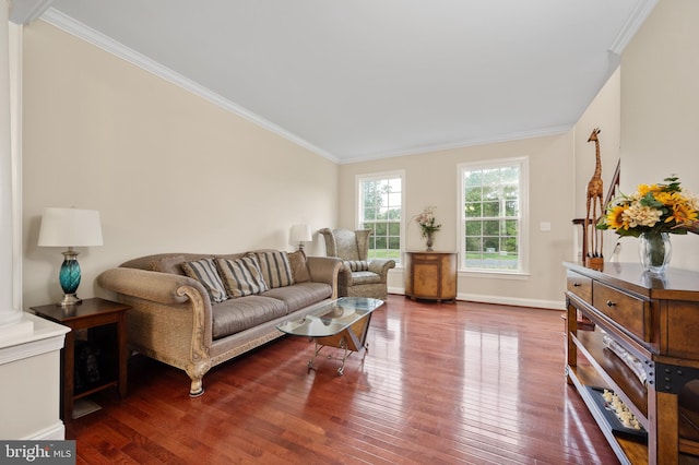 living room featuring hardwood / wood-style floors and ornamental molding