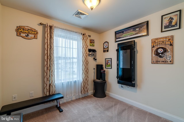 workout room featuring carpet floors