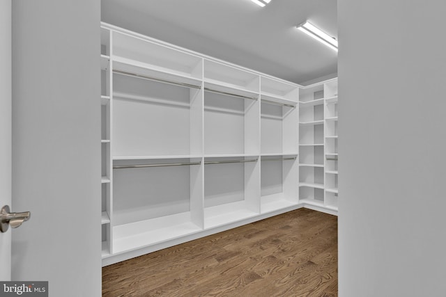 spacious closet with wood finished floors