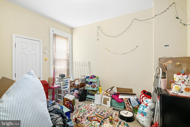 bedroom featuring carpet