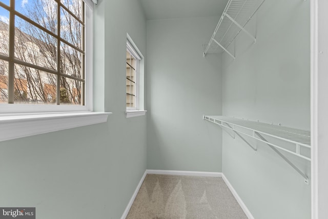 walk in closet featuring carpet floors