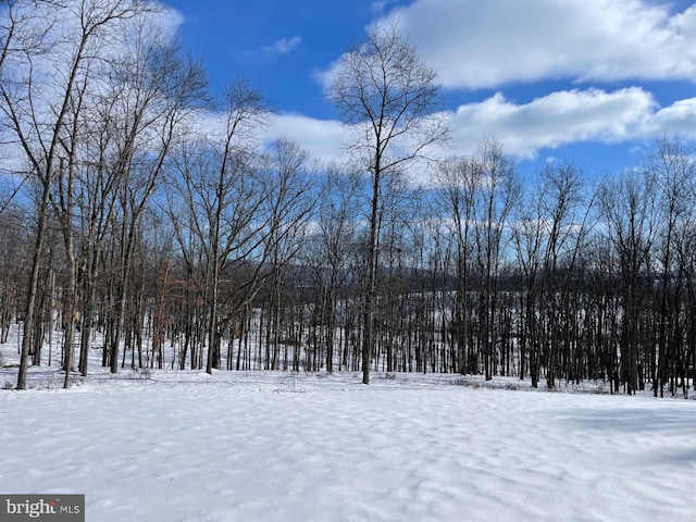 view of yard covered in snow