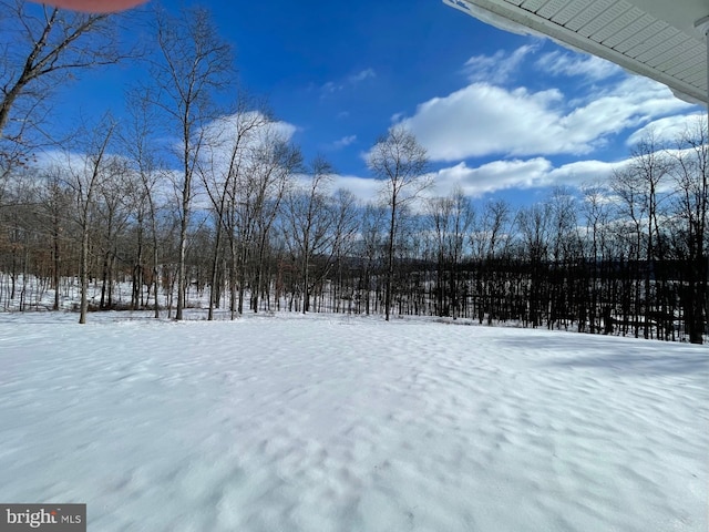 view of yard covered in snow