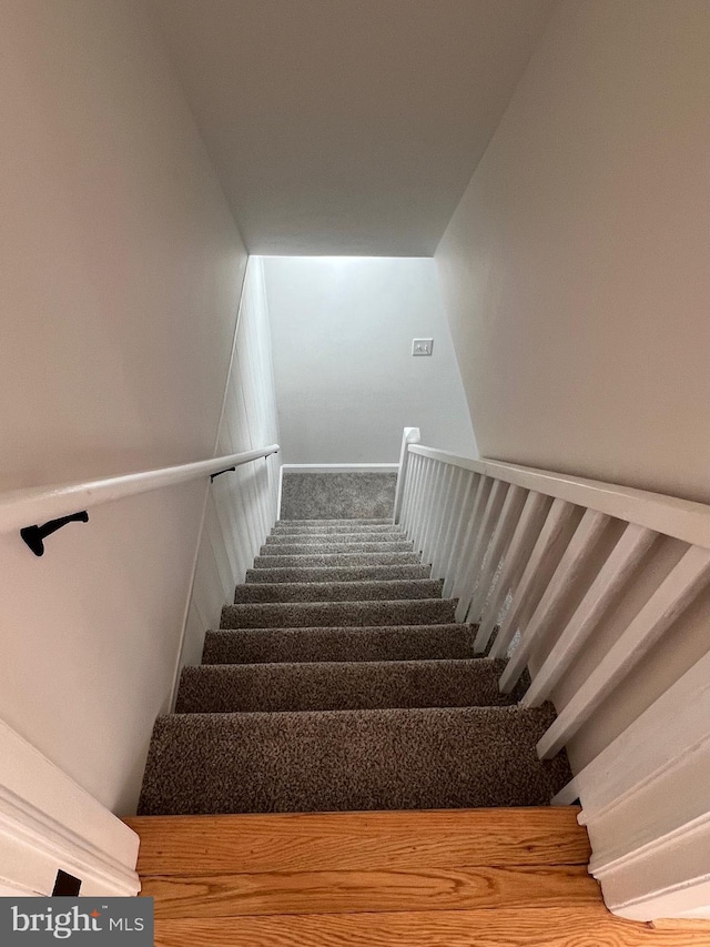 staircase featuring carpet