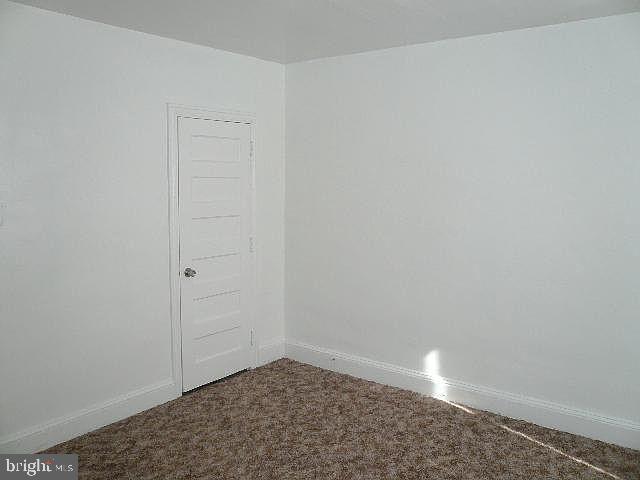 spare room with carpet floors