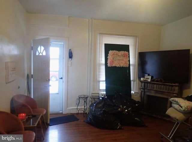 foyer featuring hardwood / wood-style flooring and baseboard heating