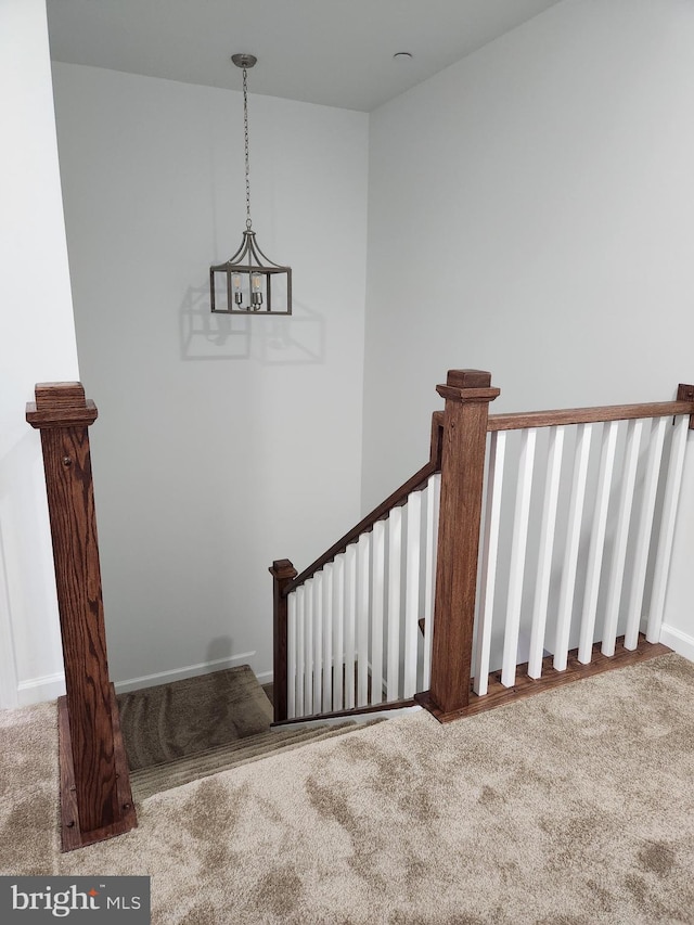 staircase with carpet floors