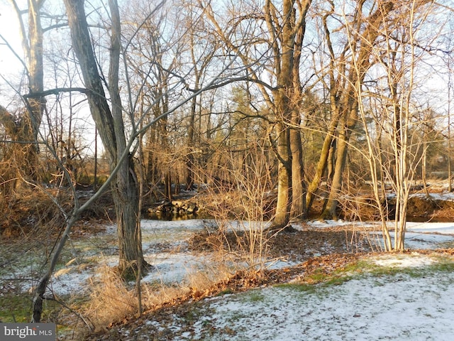 view of landscape