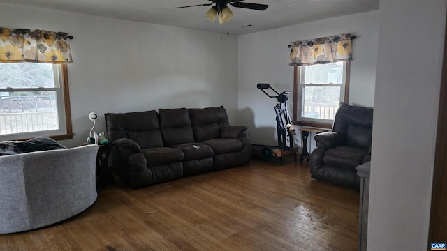 living room with hardwood / wood-style flooring and ceiling fan