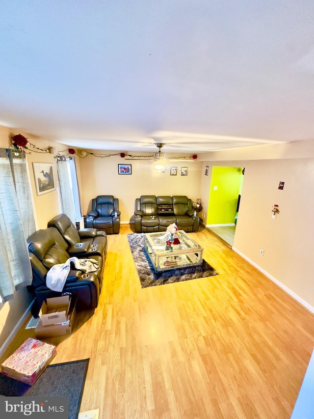 living room featuring wood-type flooring