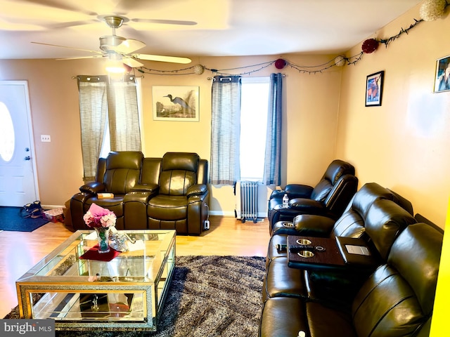 living room with ceiling fan, radiator heating unit, and wood-type flooring