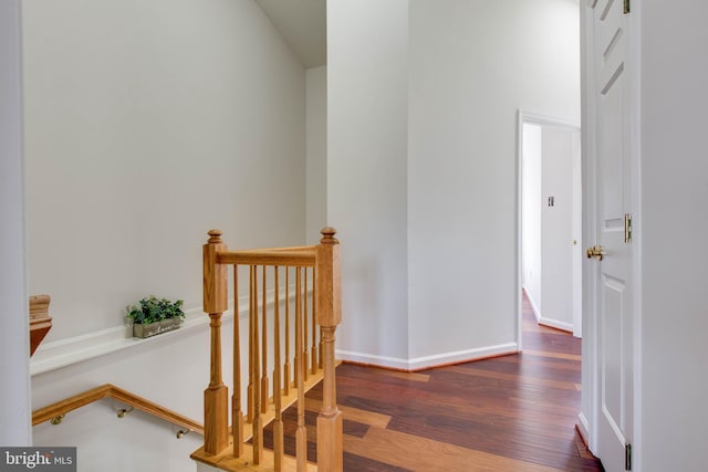 staircase featuring wood-type flooring