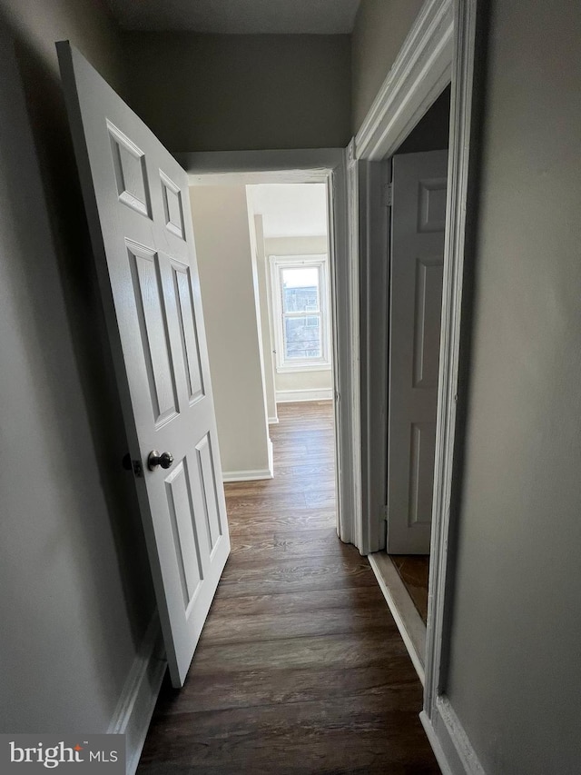 hall with dark wood-type flooring