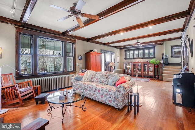 living room with beamed ceiling, ceiling fan, radiator heating unit, and light wood-type flooring