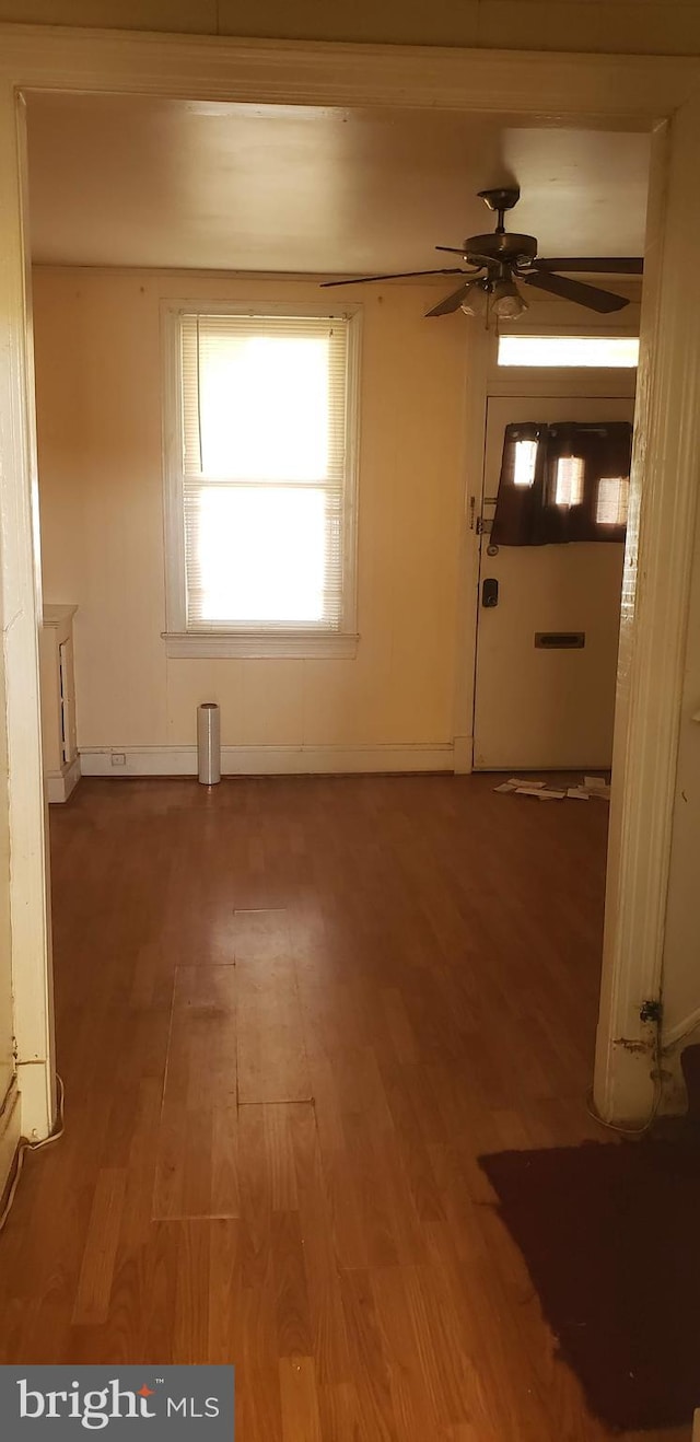 interior space featuring wood-type flooring and ceiling fan