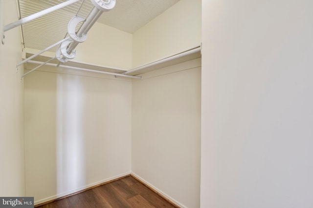 spacious closet featuring wood finished floors