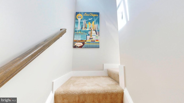 staircase with carpet floors