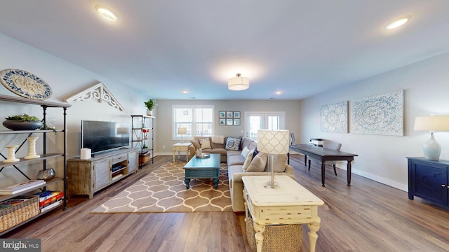 living room with hardwood / wood-style flooring